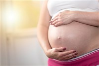 Pregnancy  Ovulation Test