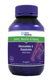 Blooms Glucosamine & Chondroitin 90 Capsules