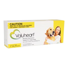 Valuheart Large Dog-Gold 6'S