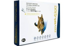 Revolution Cat Blue 2.6-7.5kg 6 Pack