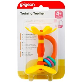 Pigeon Training Teether Step 1