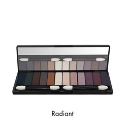 Designer Brand 12 Eye Shadow Radiant